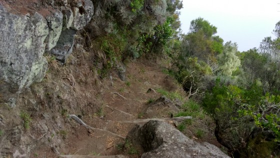 La descente