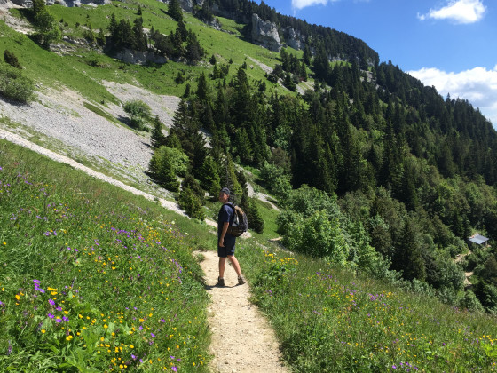 La descente