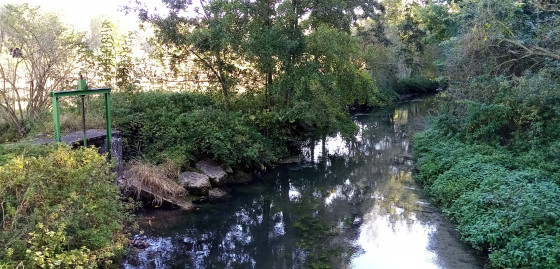 La Dive du Sud