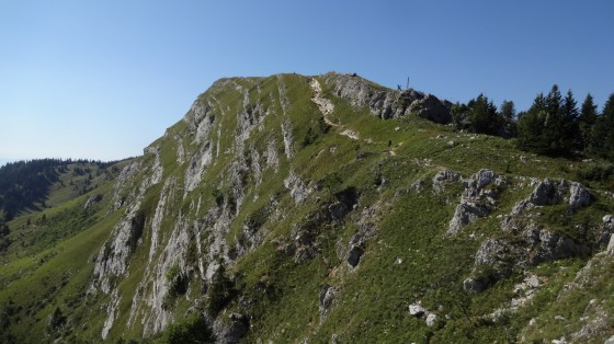 la dôle