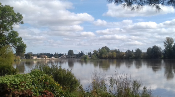 La Dordogne à Vignonet