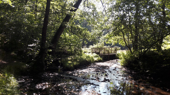 La double passerelle sur le ruisseau des Moulergues