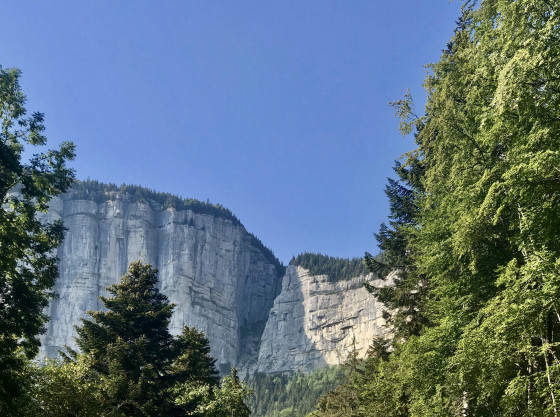 La Draye des Communaux vue du nouveau chemin forestier