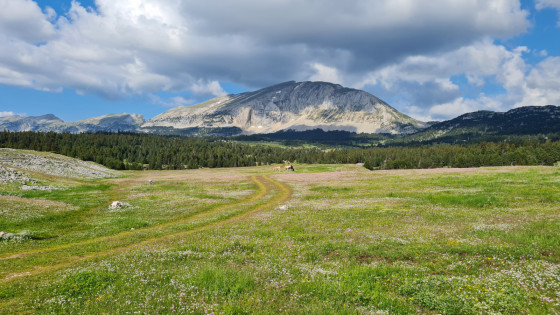 La face ouest du Grand Veymont