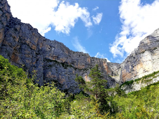 La falaise des naissances