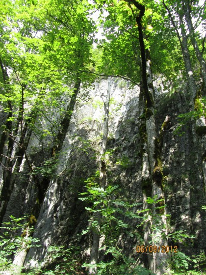 la falaise