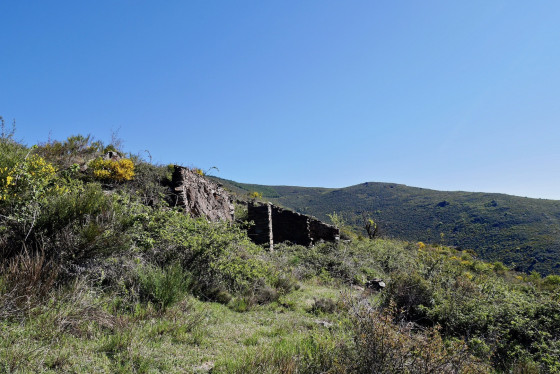 La Falguerosa