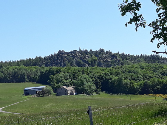 La feme du bois de la Batie