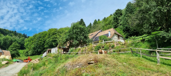 La ferme-auberge de l'Entzenbach