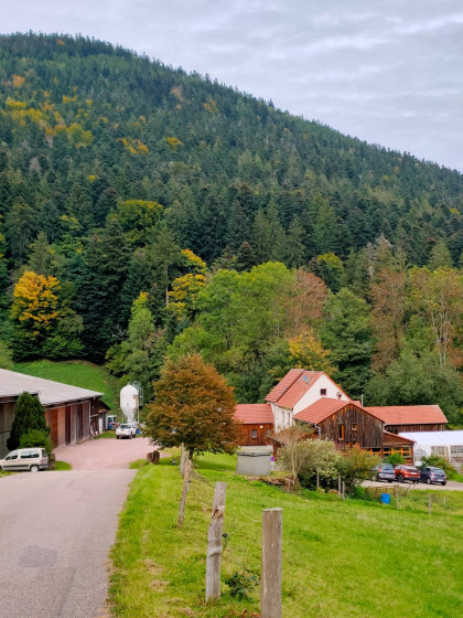 La ferme-auberge du Bambois