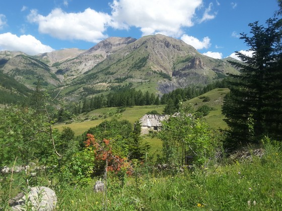 La ferme des bois