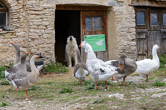 La ferme du Pescher