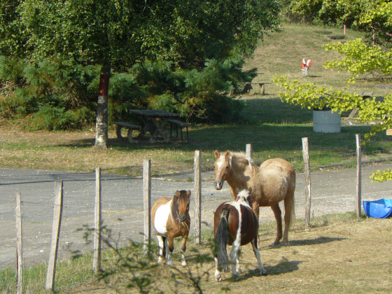 La Ferme