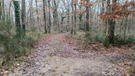 La fin de l'all&eacute;e venant de M&eacute;renvielle