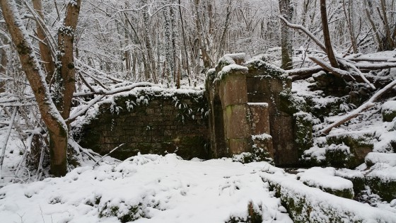 La Fontaine aux Druides