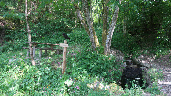 La fontaine des 3 Notaires