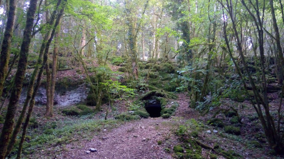 La fontaine des Acacias