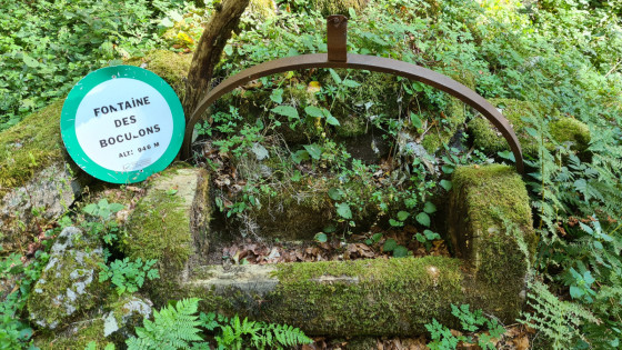 La fontaine des Boculons (946m )