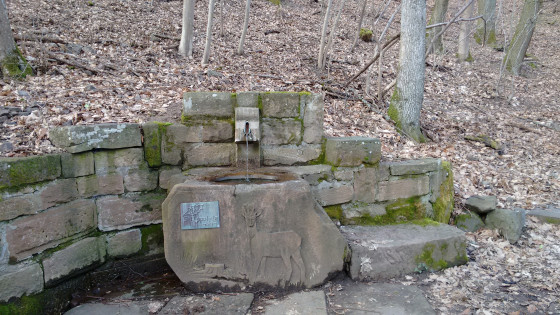 La fontaine du chevreuil