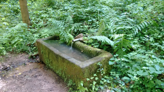 La fontaine en été