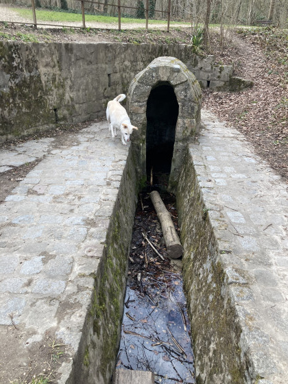 La fontaine Fr&egrave;re Jean