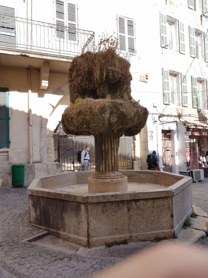 La fontaine Moussue
