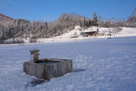 La fontaine