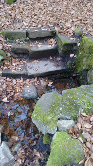 La fontaine