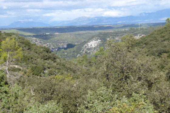 La for&ecirc;t, les montagnes et le village d'Esparron