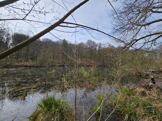 La Fourmilière