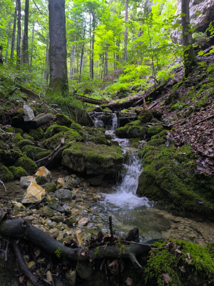 la fraicheur de l\'eau...