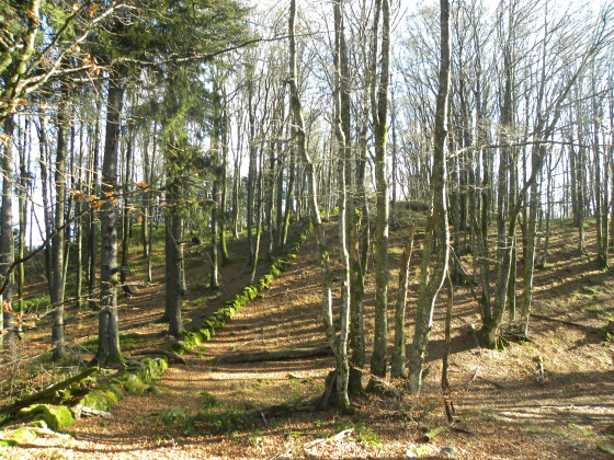 La frontière Franco Allemande de 1870