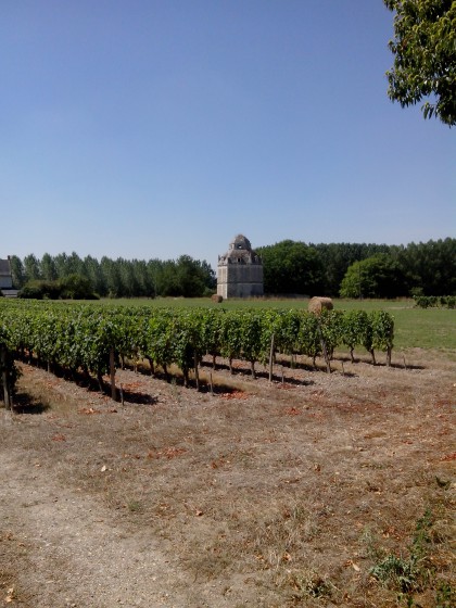 La Fuie de Roncé
