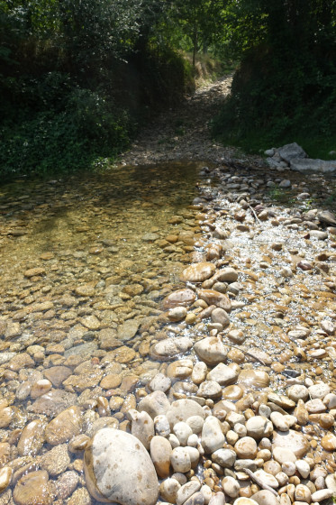 La Galaure