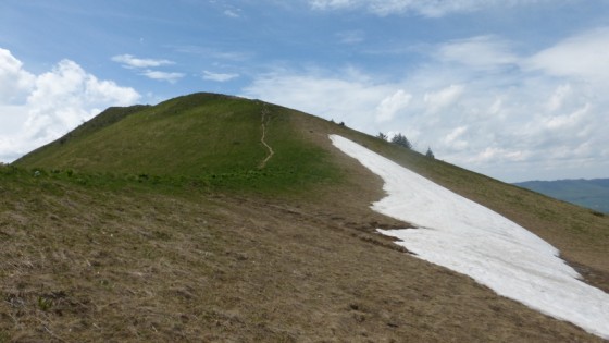 La Galoppaz versant Nord