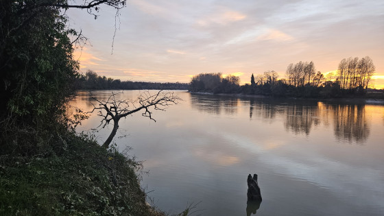 La Garonne en fin de journ&eacute;e
