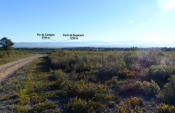 La garrigue avec au loin la chaîne des Pyrénées