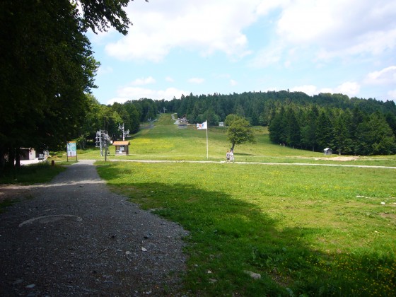 La Gentiane