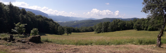 La Goulandière