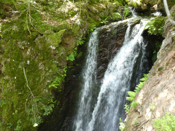 La Goutte des Saules