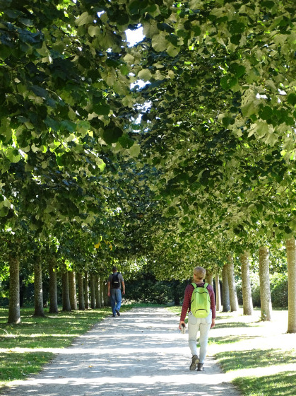 La grande allée du Lain