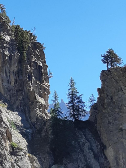 La Grande Fenêtre