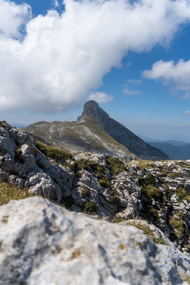 La Grande Moucherolle