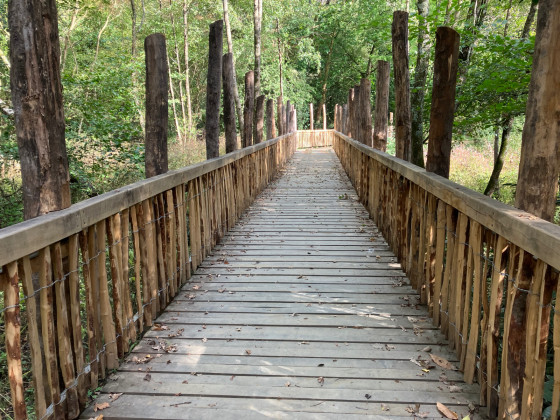 La grande passerelle en bois