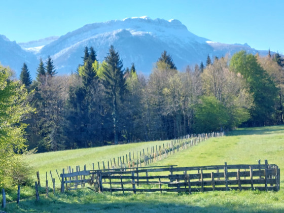 La Grande Sure