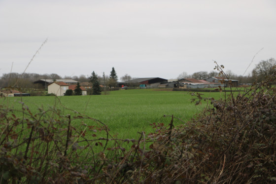 La Grenière