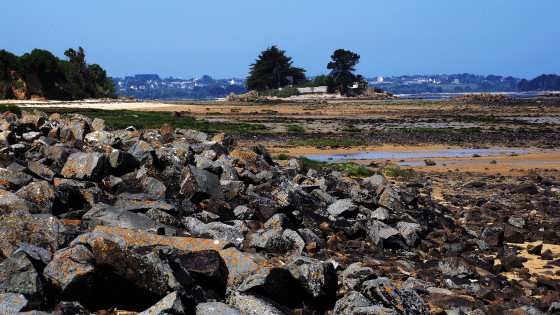 La grève avant Port-Béni