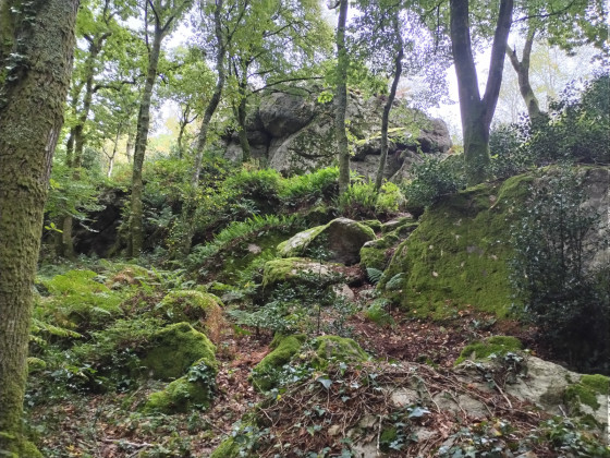 La Grosse Roche