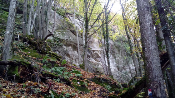 La Grotte aux Loups