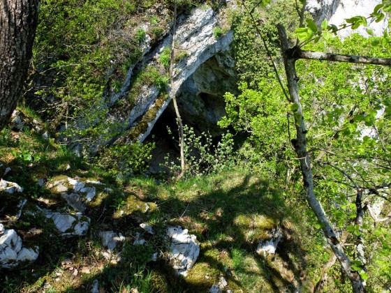 La Grotte de sous Roche